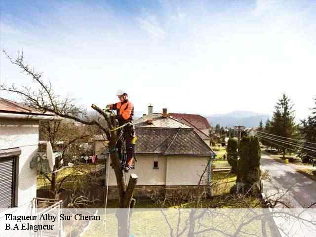 Elagueur  alby-sur-cheran-74540 B.A Elagueur