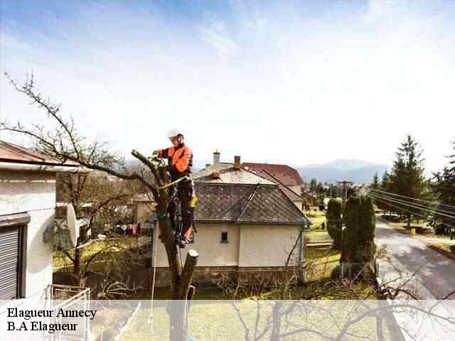 Elagueur  annecy-74000 B.A Elagueur