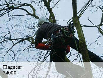 Elagueur  74000