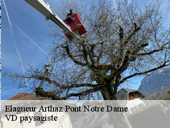 Elagueur  arthaz-pont-notre-dame-74380 VD paysagiste