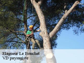 Elagueur  74230