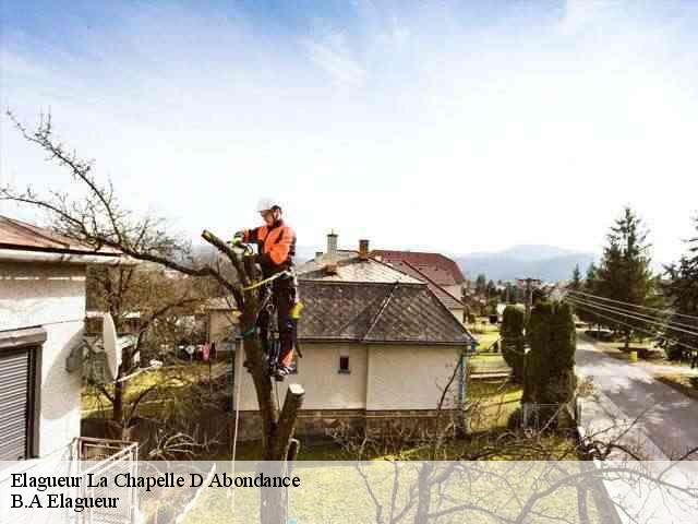 Elagueur  la-chapelle-d-abondance-74360 B.A Elagueur