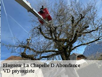 Elagueur  la-chapelle-d-abondance-74360 VD paysagiste
