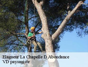 Elagueur  74360