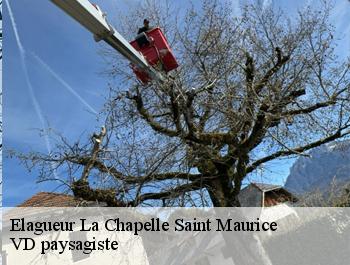 Elagueur  la-chapelle-saint-maurice-74410 VD paysagiste