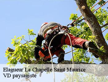 Elagueur  74410