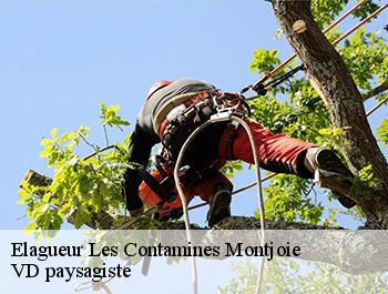 Elagueur  74170