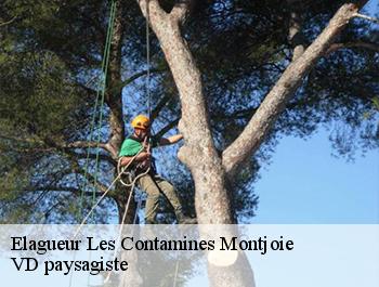 Elagueur  74170