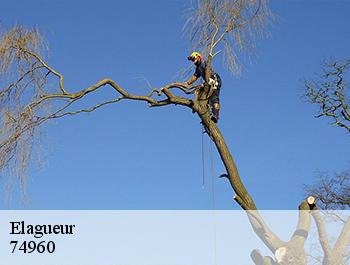 Elagueur