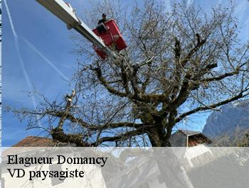 Elagueur  domancy-74700 VD paysagiste