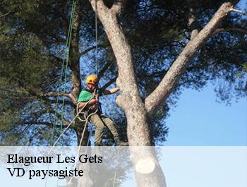 Elagueur  74260