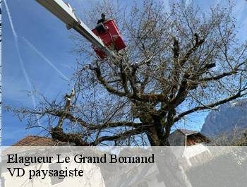 Elagueur le-grand-bornand-74450 VD paysagiste