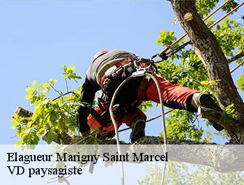 Elagueur  74150