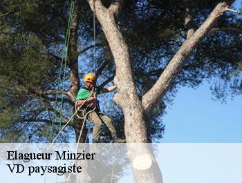 Elagueur  74270