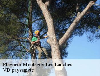 Elagueur  74600