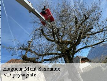 Elagueur  mont-saxonnex-74130 VD paysagiste