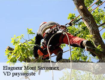 Elagueur  74130