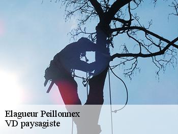 Elagueur