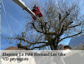 Elagueur  le-petit-bornand-les-glie-74130 VD paysagiste