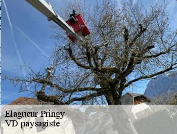 Elagueur  pringy-74370 VD paysagiste