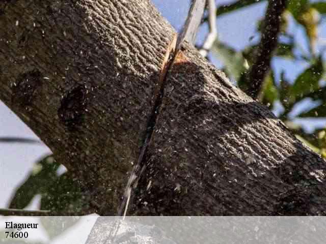 Elagueur 74600