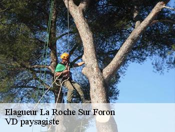 Elagueur 74800