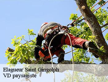 Elagueur  74500