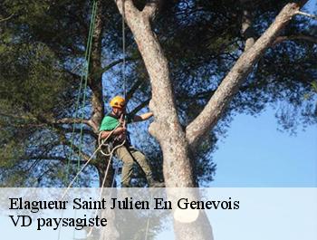 Elagueur  74160