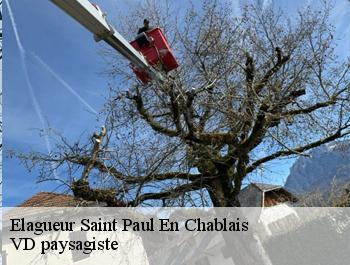 Elagueur saint-paul-en-chablais-74500 VD paysagiste