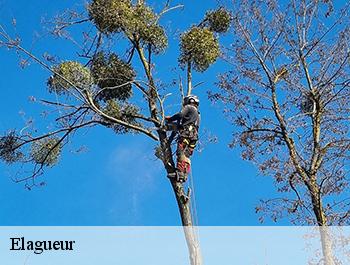 Elagueur