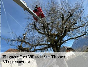 Elagueur les-villards-sur-thones-74230 VD paysagiste