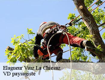 Elagueur 74540