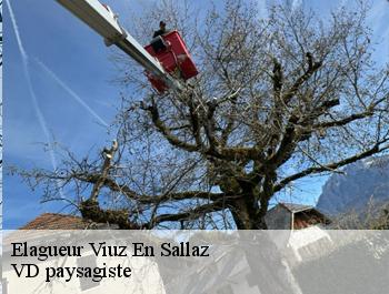 Elagueur  viuz-en-sallaz-74250 VD paysagiste