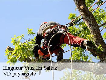 Elagueur  74250