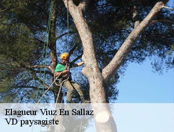 Elagueur  74250