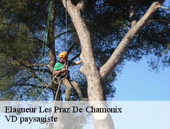 Elagueur  74400