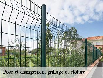 Pose et changement grillage et cloture