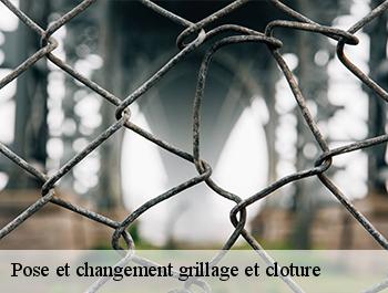 Pose et changement grillage et cloture