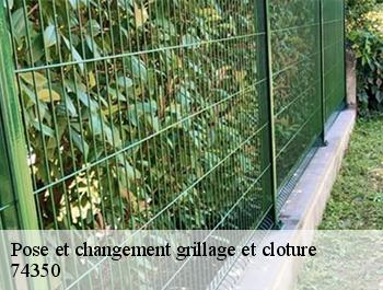 Pose et changement grillage et cloture