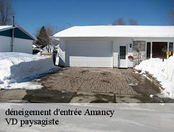 déneigement d'entrée  amancy-74800 VD paysagiste