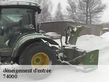 déneigement d'entrée