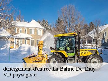 déneigement d'entrée  74230