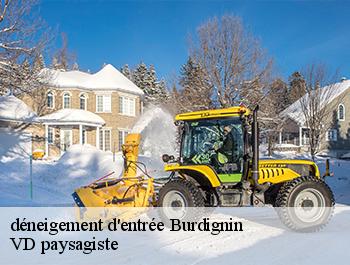 déneigement d'entrée 74420