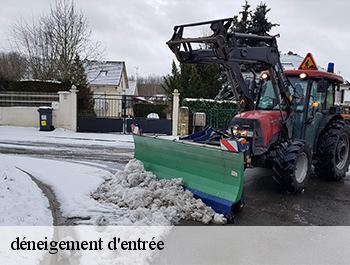 déneigement d'entrée