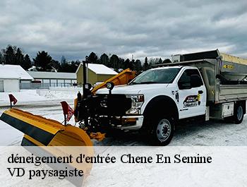 déneigement d'entrée 74270