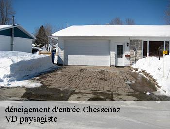 déneigement d'entrée  chessenaz-74270 VD paysagiste