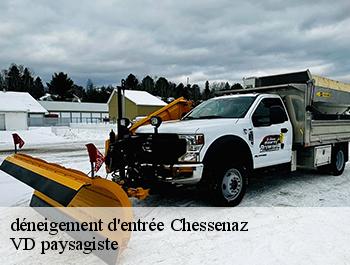 déneigement d'entrée  74270