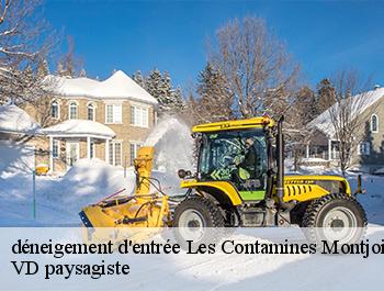 déneigement d'entrée 74170