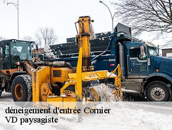 déneigement d'entrée