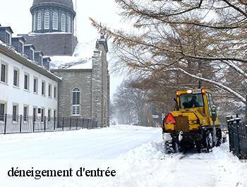 déneigement d'entrée